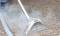 professional cleaning service